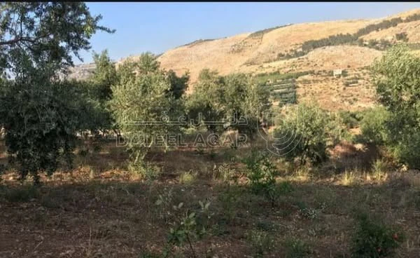 أرض في أرض 3,427م² للبيع في السلط – حوض جورة الصالح  - 78,000 دأ - صورة 1